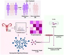 MolecularOmics's tweet card. Cisplatin-based concurrent chemoradiotherapy (CCRT) is the standard treatment for cervical patients with locally advanced disease. Despite the improved survival rates and prognosis observed in...