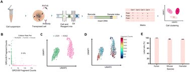 MolecularOmics's tweet card. To illustrate epigenetic heterogeneity, versatile tools of single-cell ChIP-seq (scChIP-seq) are essential for both convenience and accuracy. We developed MobiChIP, a compatible ChIP-seq library...
