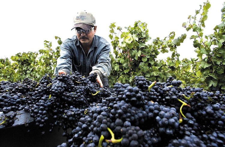mapocoloco's tweet card. As E&J Gallo closes Courtside Cellars and lays off employees, the company continues to scale back its presence in San Luis Obispo County, California, and the Central Coast.