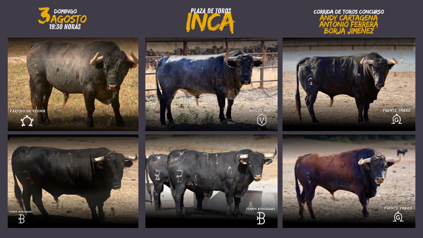 TOROLIVEE's tweet card. La Corrida Concurso del próximo 3 de agosto en Inca será, sin duda, una fecha marcada con letras de oro en el calendario taurino balear