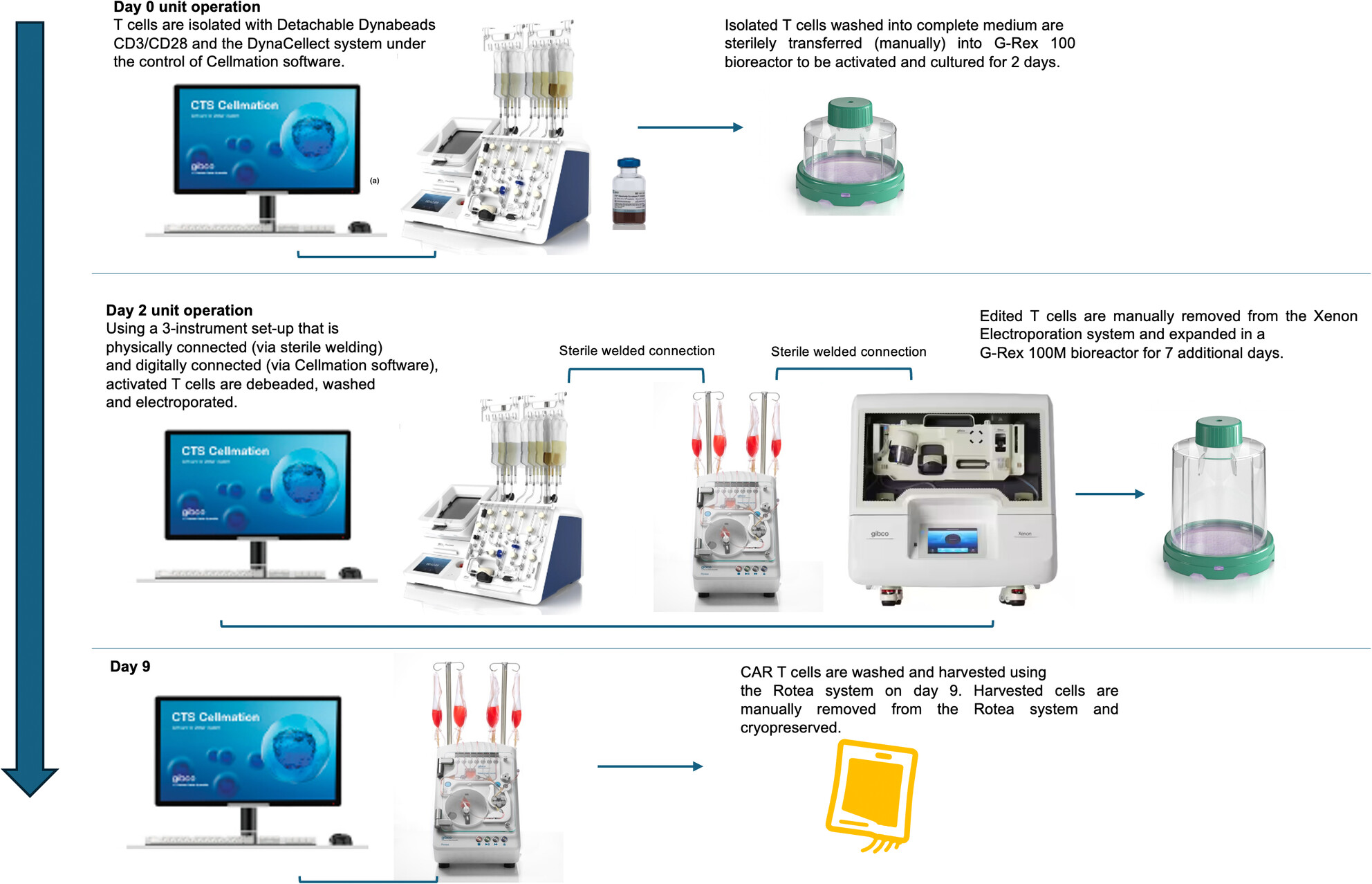 ClinTransImmuno's tweet card. We present an end-to-end methodology for semi-automating the cell therapy manufacturing workflow using CTS Cellmation software – an off-the-shelf software solution – to control physically connected...