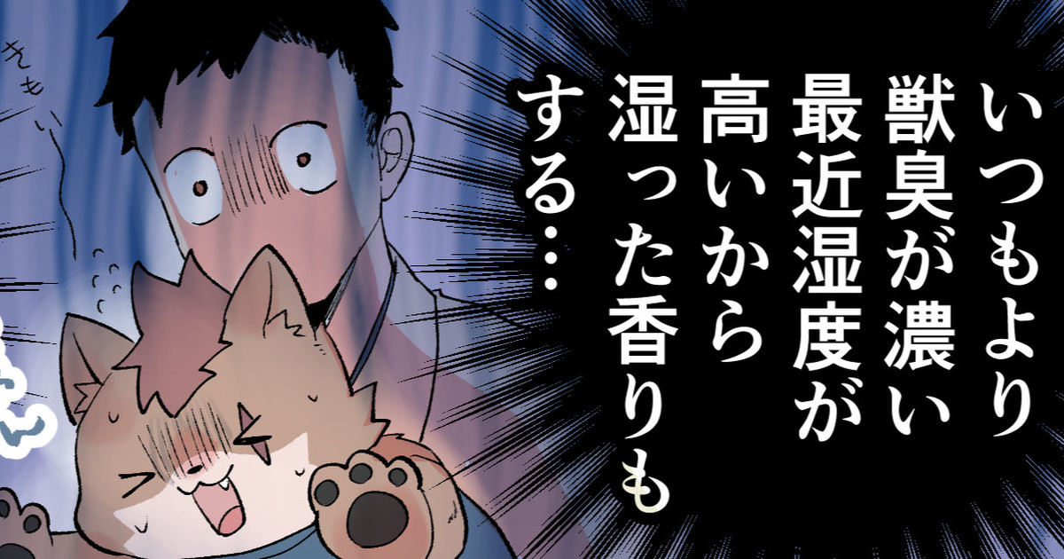 takimoto__'s tweet card. クリエイターの創作活動を支えるファンコミュニティ「pixivFANBOX」