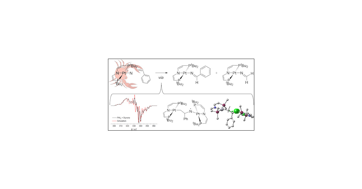 schneider_lab's tweet card. Photolysis of a platinum(II) azide complex in the presence of styrenes enables C═C double bond cleavage upon dissociative olefin imination to aldimido (PtII–N═CHPh) and formimido (PtII–N═CH2)...