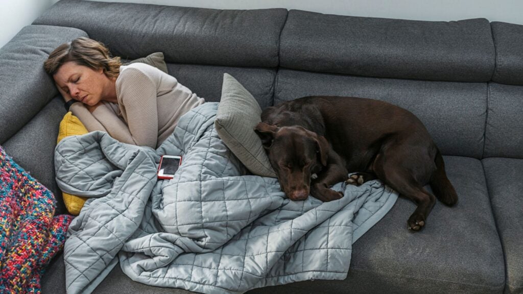 trailrunnermag's tweet card. We asked experts why we get sleepy after long runs, and if taking a nap is the best move