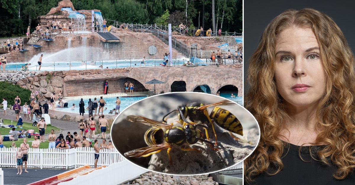 EkbergMats's tweet card. Skara sommarland har invaderats av ilskna getingar. Efter att båda Anders barn blev stuckna i låret och halsen valde familjen att också sticka. – Jag tycker bar