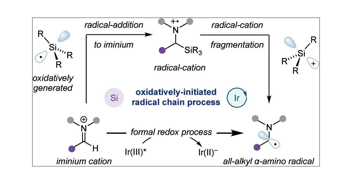 MatthewGaunt8's tweet card. The α-amino-radical constitutes a versatile reactive intermediate that has been used to great effect in the synthesis of complex amine-containing products. Here, we report the development of a...