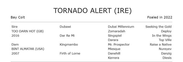 BreednetNews's tweet card. Fresh from siring two new stakes-winners in Europe on Saturday Too Darn Hot (GB) kept the momentum going on Sunday with a new Group I winner and Tornado Alert is a half-brother to Just Fine (IRE),...