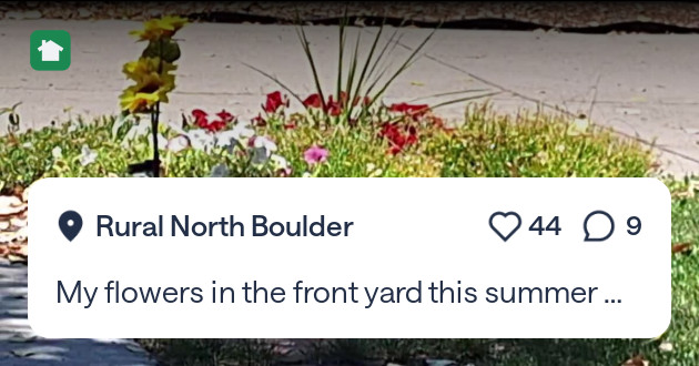 JannScottTonite's tweet card. My flowers in the front yard this summer 2025 Boulder.. share yours