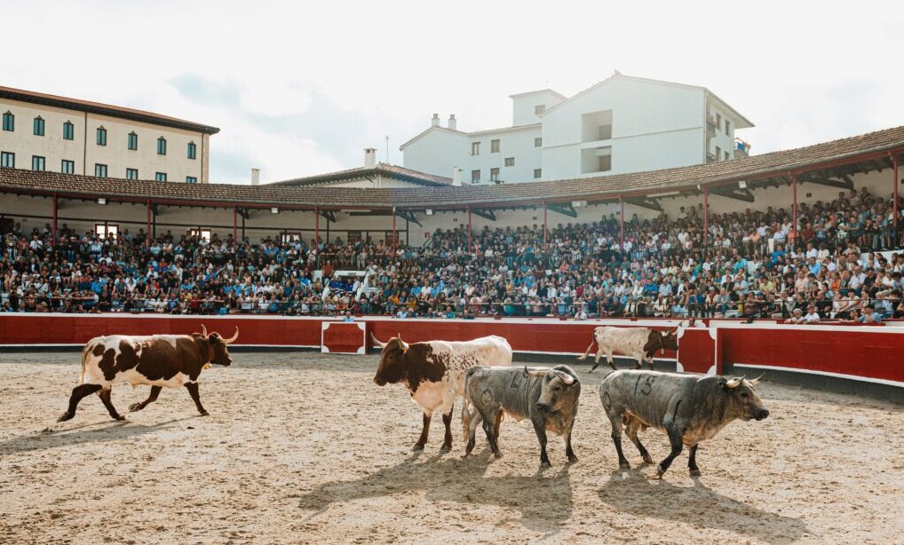 aplausos's tweet card. Se desembarcaron tres toros de Loreto Charro y tres de Vellosino, la corrida de Ana Romero y la de Murteira Grave.