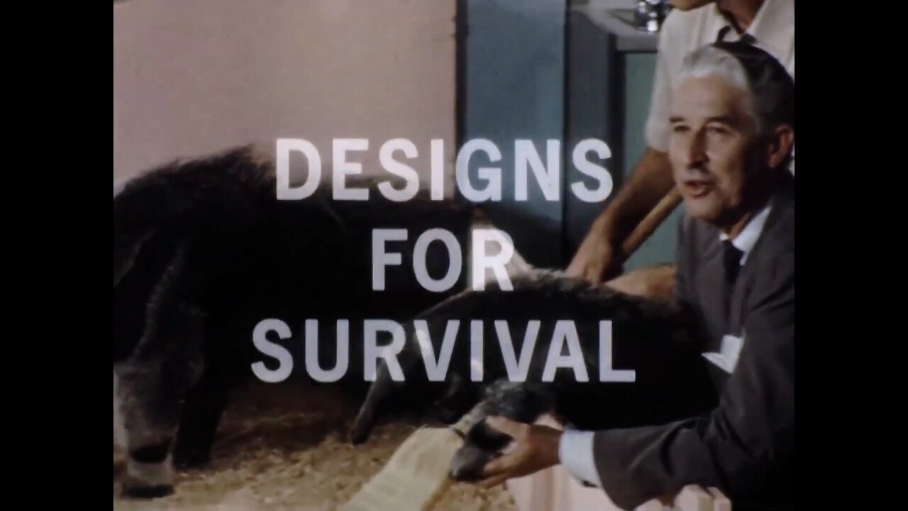 ATSAUTWGDJ's tweet card. The survival value of a wide range of protective devices used by wild creatures investigated and demonstrated. Mutual of Omaha's Wild Kingdom, is an American documentary television program that featur