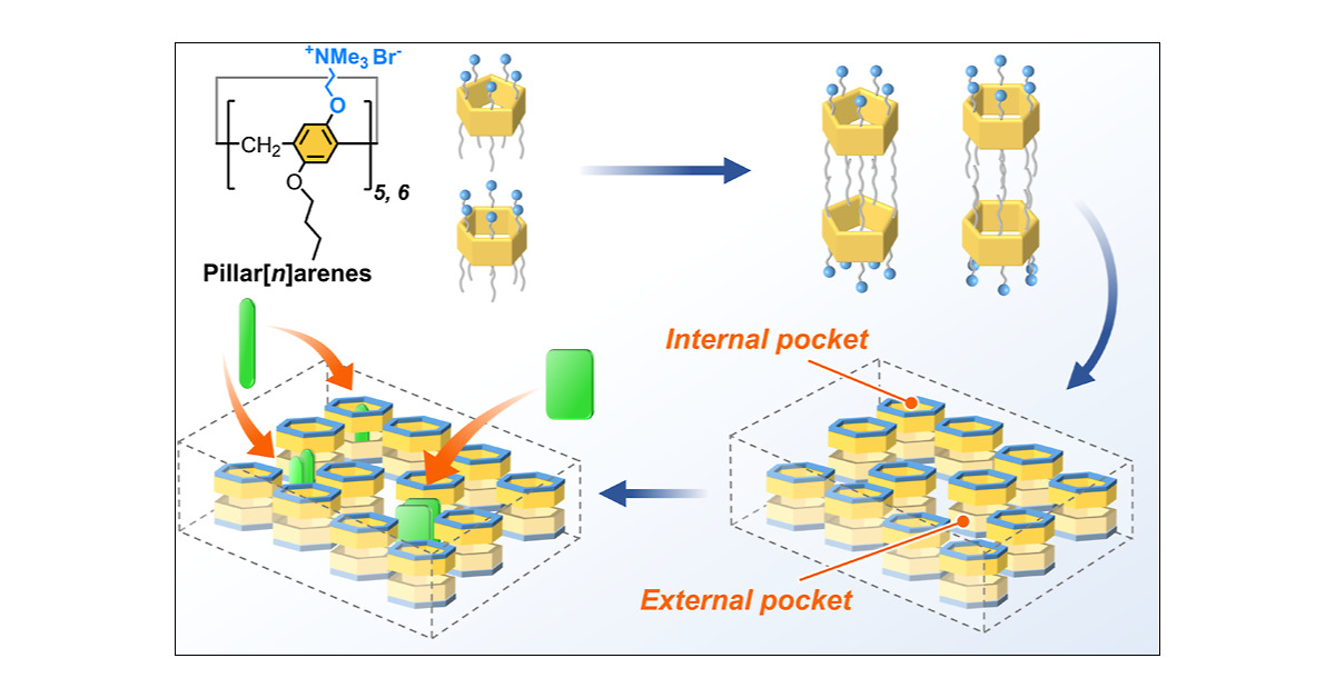 OgoshiTomoki's tweet card. Constructing binding pockets by hierarchically assembling tailored building blocks and understanding structure–property relationships are challenging goals. Herein, amphiphilic pillar[5]arene and...