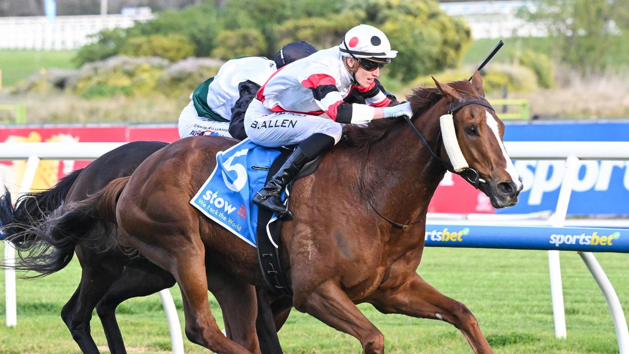 Punters's tweet card. He's only placed once in six subsequent starts after landing G1 glory for trainer Enver Jusufovic, but they're optimistic again this spring.