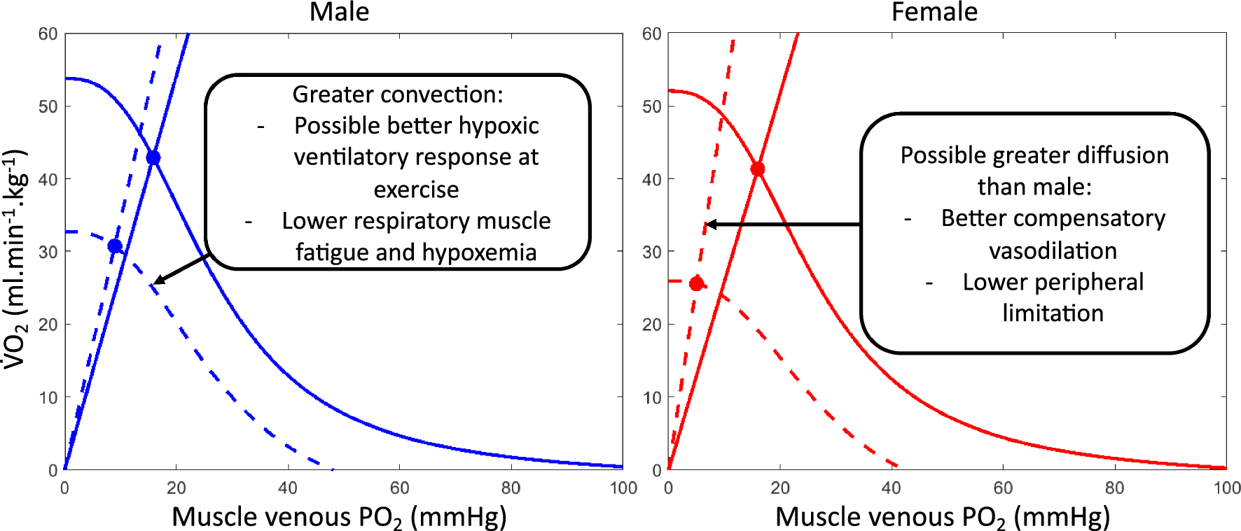 TCitherlet's tweet card. Sports Medicine - Sex differences in physiological responses to various stressors, including exercise, have been well documented. However, the specific impact of these differences on exposure to...