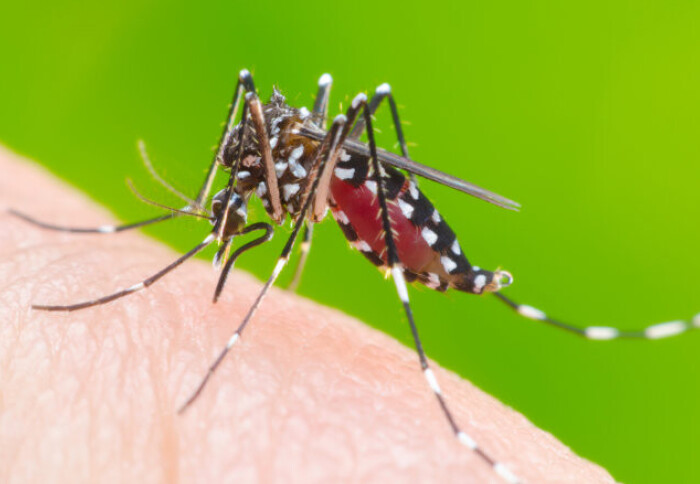 ICStructBio's tweet card. NEGLECTED DISEASES - To mark World Neglected Tropical Diseases Day, we explore how Imperial scientists are combatting these diseases that affect millions each year.