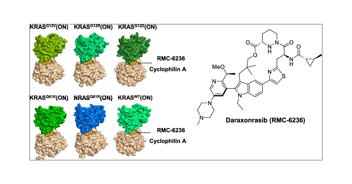 ZPokladek's tweet card. Oncogenic RAS mutations are among the most common in human cancers. To target the active, GTP-bound state of RAS(ON) directly, we employed an innovative tri-complex inhibitor (TCI) modality. Format...