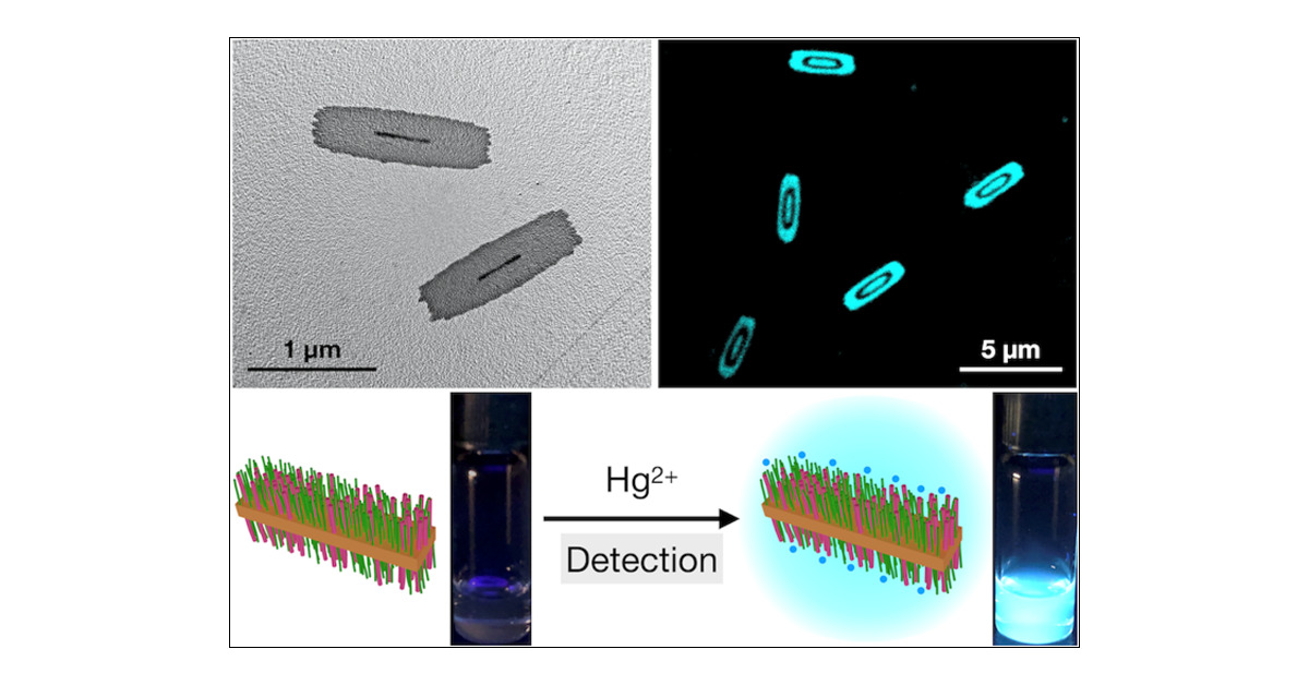UVicCAMTEC's tweet card. Aggregation-induced emission (AIE) represents a powerful tool in nanoscience as a result of enhanced luminescence in the condensed state. Although AIEgenic materials have been utilized in a wide...