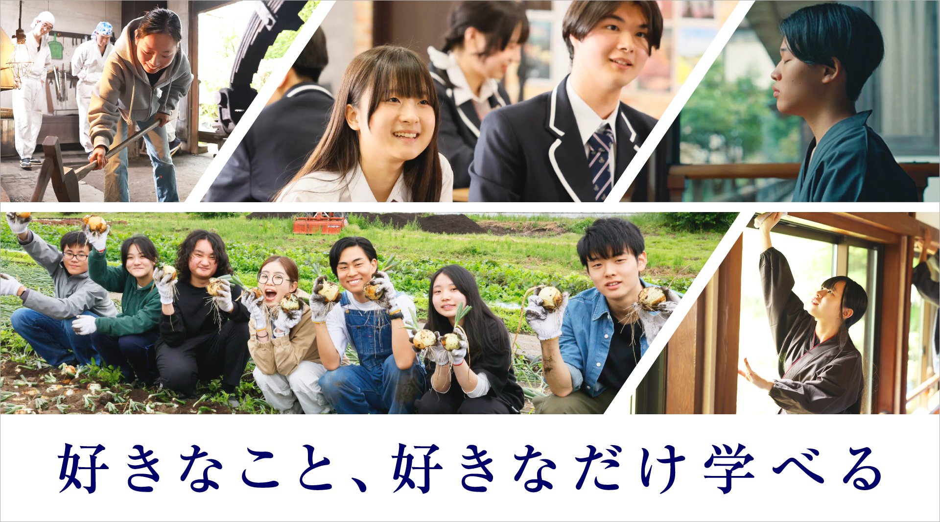nhigh_info's tweet card. 学校法人角川ドワンゴ学園のニュース、プレスリリースなどを紹介します。