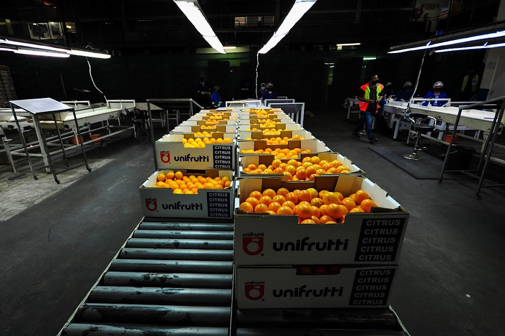BDliveSA's tweet card. The association fears hundreds of thousands of cartons of this season's fresh produce will go to waste, bringing the industry to its knees