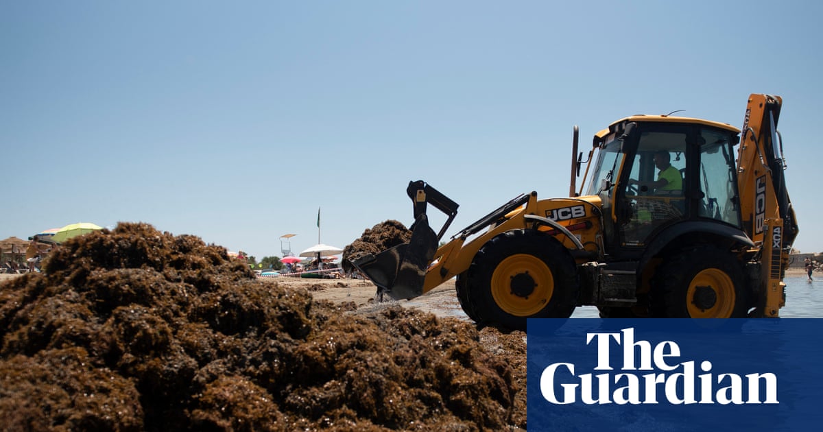JeromeOLLIER's tweet card. Alga from south-east Asia is major threat to biodiversity, say experts as they warn of environmental catastrophe