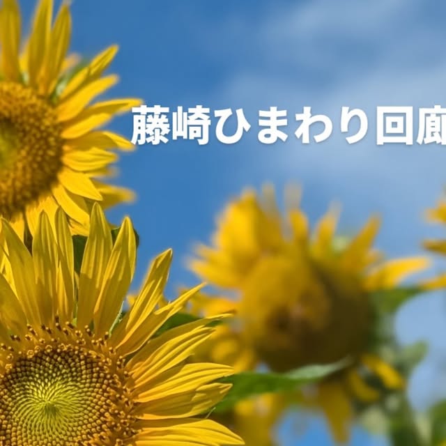 tk84akr's tweet card. 織戸菜園 (@orido.farmony) • Instagram photo
