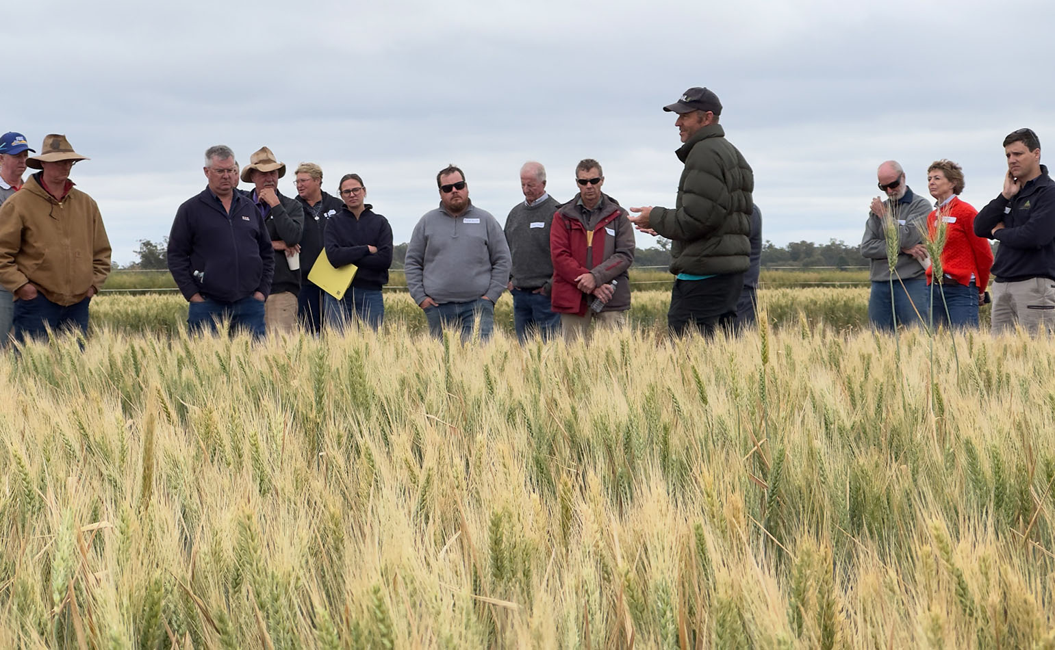 SoilCRC's tweet card. Prof Terry Rose is leading a Soil CRC project to investigate changes in soil resilience and carbon stocks under a range of farming practices.