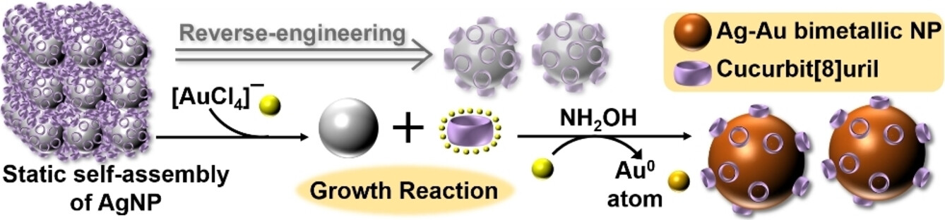 ChemNanoMat's tweet card. Disassembly of the thermodynamically stable cucurbit[8]uril (CB[8]) based static self-assembly of silver nanoparticles has been achieved for the first time via seed-mediated growth reaction in...