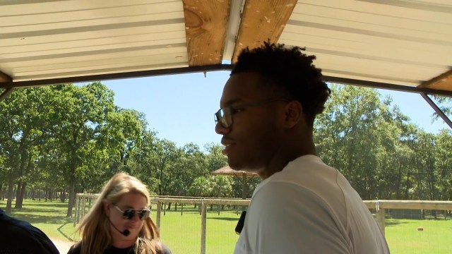 ToddSummers7's tweet card. Salley, SC – LaNorris Sellers was among 6 South Carolina football players to visit the Eudora Wildlife Safari Park on Sunday for a meet and greet with fans. Sellers handed out free action fig…