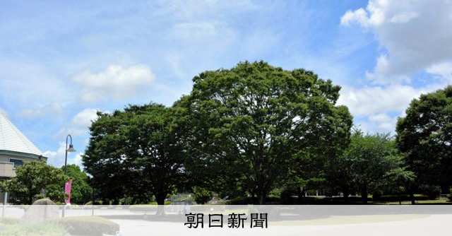 taitan21's tweet card. 　夏休みの思い出に公園で花火ができます――。静岡県富士市は今夏、市内最大の都市公園・中央公園で、手持ち花火で遊ぶことを解禁した。これまで市が管理する公園すべてで禁じていたが、「花火ができる場所がない」…