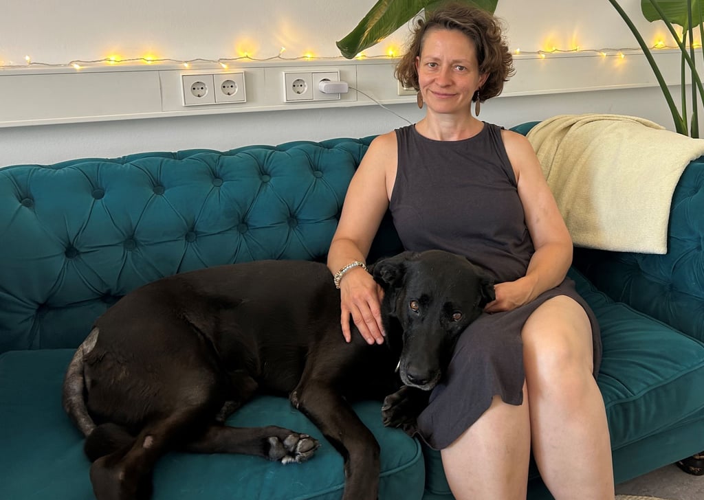 Volksstimme's tweet card. Hundehalter suchen oft Hundebetreuungen. In den Trend kommen immer mehr Privatpersonen, die Hundesitting anbieten. Apps helfen bei der Vermittlung. Hundetrainerin Karin Siska aus Magdeburg erklärt,...