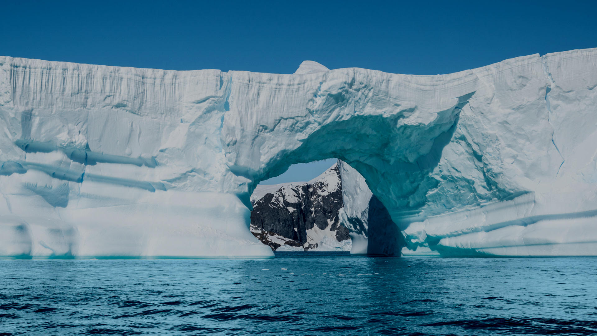 funkingmajic's tweet card. The noise pollution caused by human intervention in Antarctica could be negatively affecting the well-being of local wildlife.