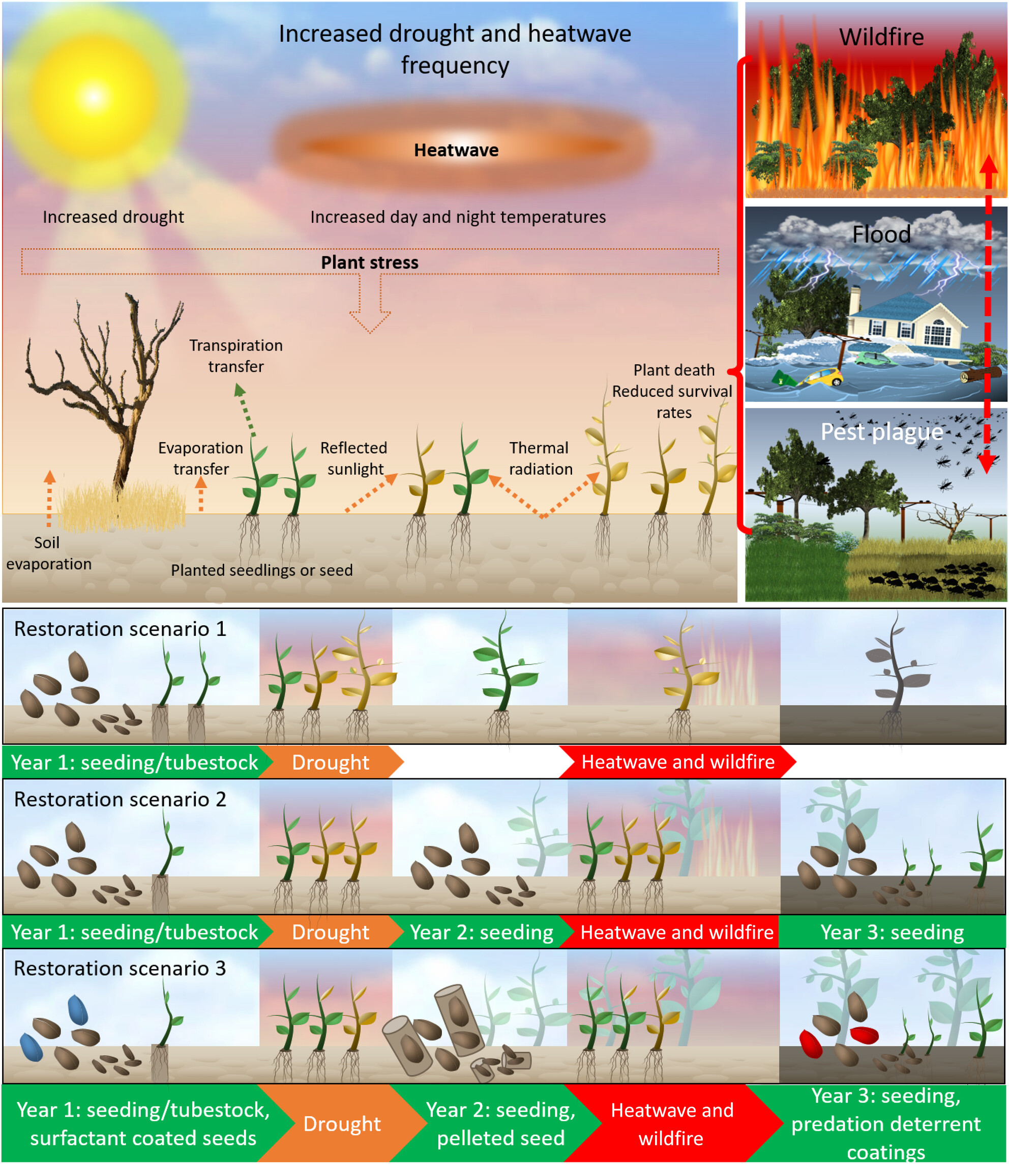 alisonlritchie's tweet card. Billions of dollars are spent annually on ecological restoration efforts around the world and yet successful attainment of restoration targets still falls short in many regions. The current challen...