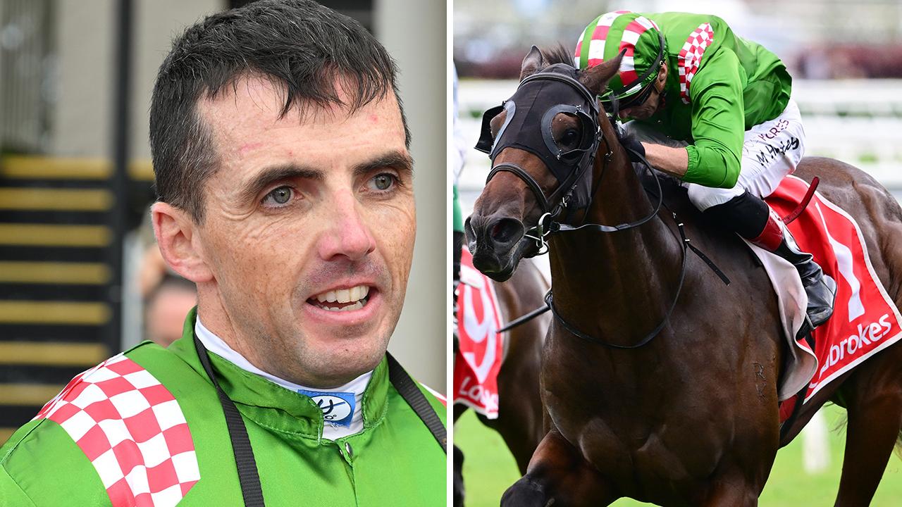 Punters's tweet card. Irish jockey Martin Harley is still riding high after his JJ Atkins win last month and is back in Brisbane after a well-deserved holiday.