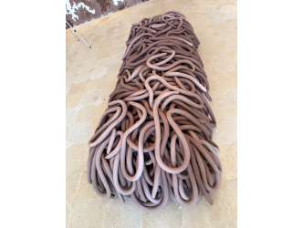 Zakinus's tweet card. Maiolino at the Picasso Museum: The Golden Lion and Her Beautiful Clay Metaphors - Judith Benhamou...