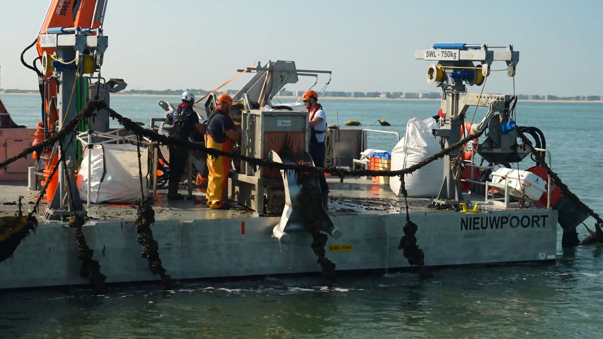 RTBFinfo's tweet card. A la ferme marine Westdiep de Colruyt Group, la saison des moules a démarré dès le début du mois de juin. Westdiep,...