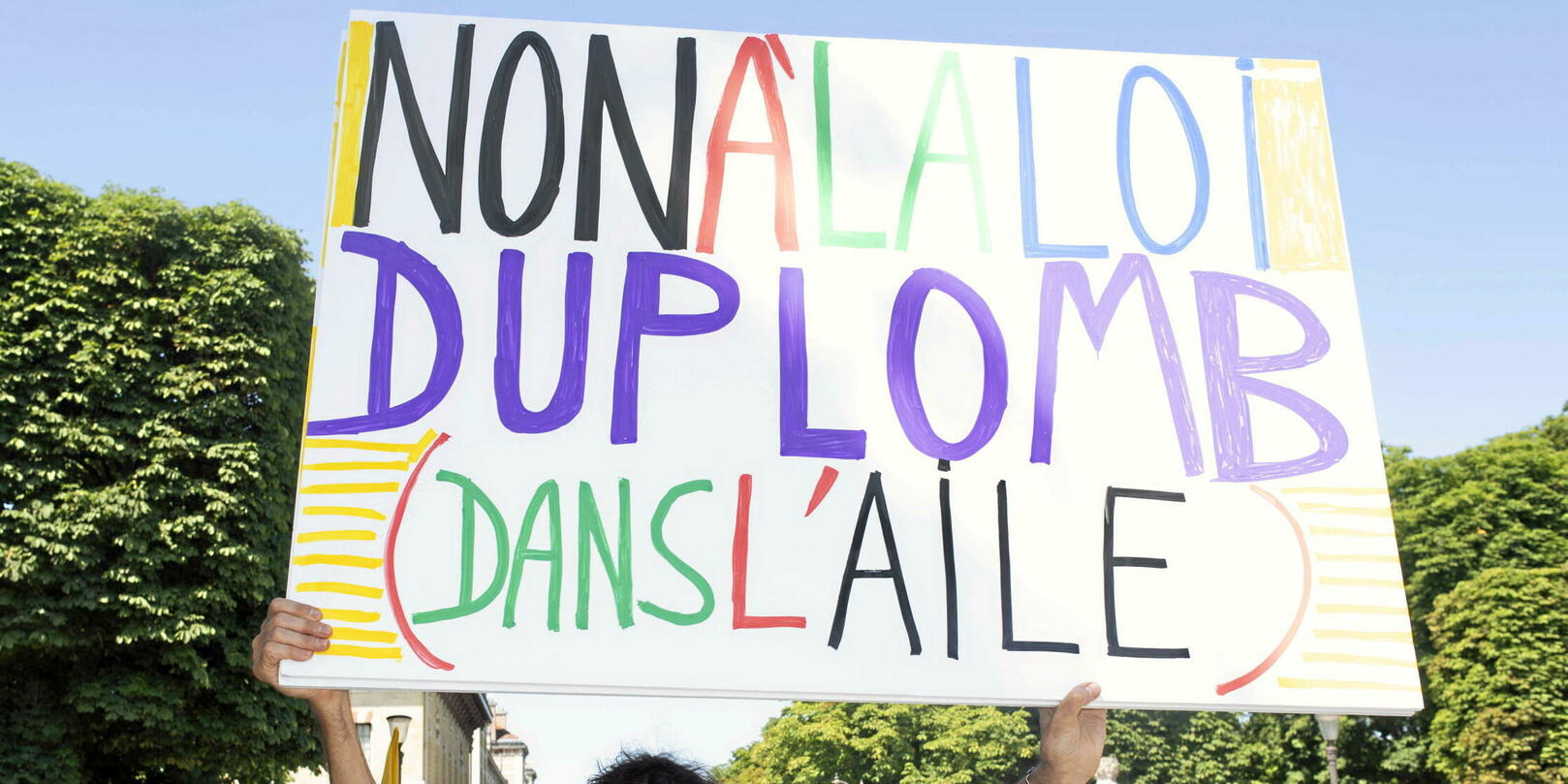 BenjaminMorel63's tweet card. ENTRETIEN. Alors que la pétition contre la loi Duplomb a franchi le million de signatures, le constitutionnaliste Benjamin Morel décrypte les limites juridiques et politiques de cette mobilisation...