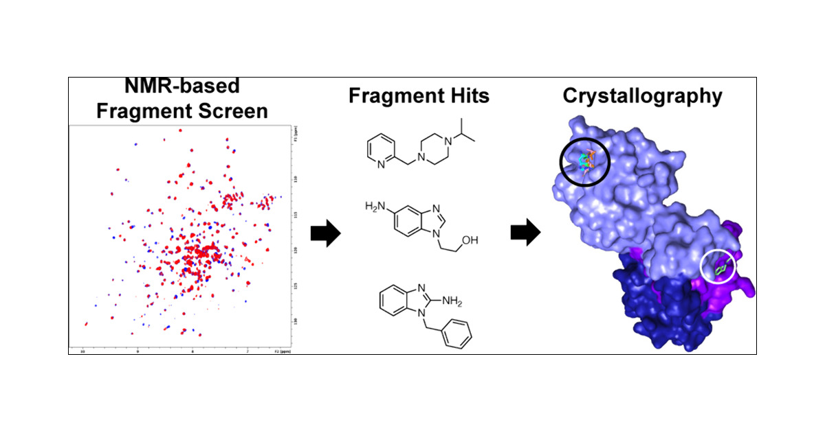 fmkz___'s tweet card. von Hippel-Lindau (VHL) is an E3 ligase that has been widely exploited for the development of PROTACs to induce degradation of disease-associated target proteins. Nearly all VHL-recruiting PROTACs...