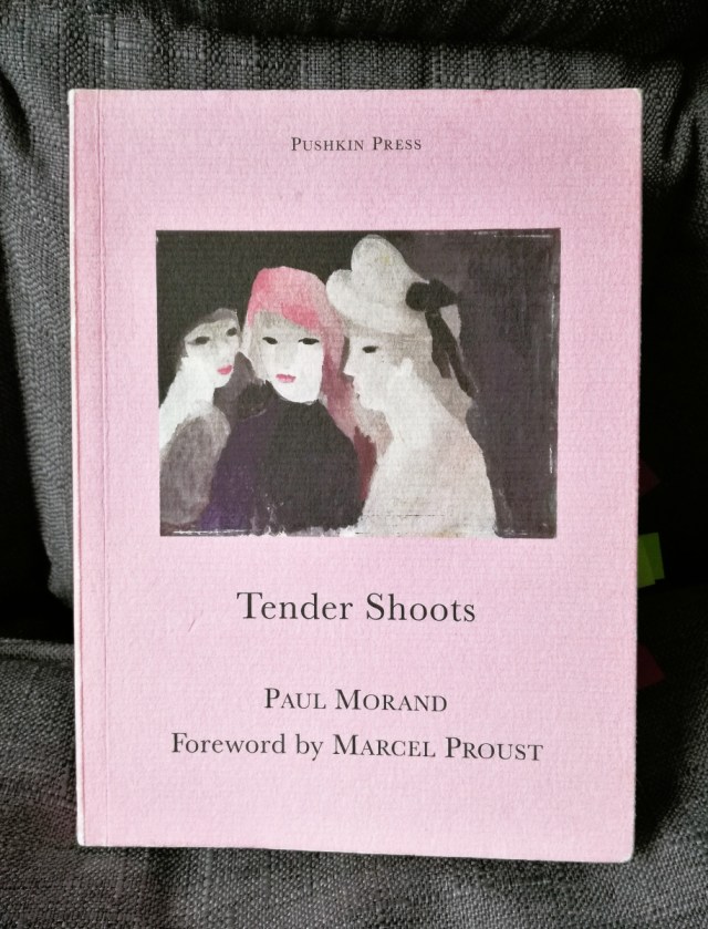 kaggsy59's tweet card. My final read of the month is also my final read for the Paris in July event, which I’ve really enjoyed, and many thanks go to Words and Peace for hosting it – I know how much it takes …