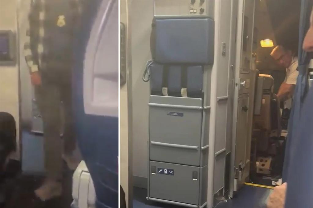 AuthorofAbsurd's tweet card. “A group of people with badges, guns, and different agency vests/markings were pushing their way up through the aisle to the cockpit,” a shocked passenger said.