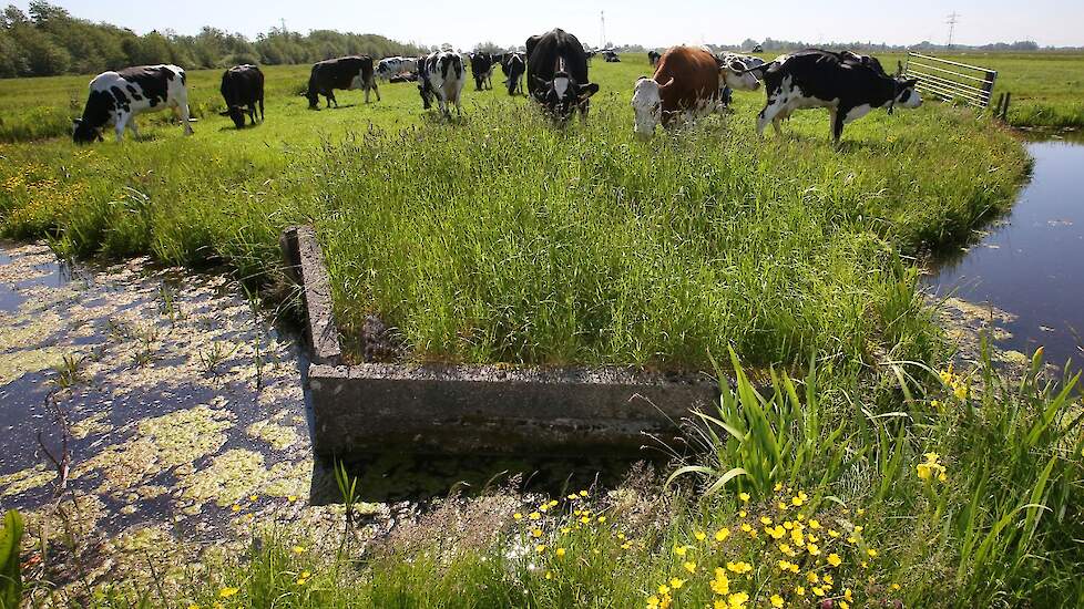 VeeGewas's tweet card. Zonder regie op grondgebruik geen toekomst voor boer en natuur in overgangszones rond Natura 2000. Rapport pleit voor gebiedsgerichte strategie, heldere regels en financiële zekerheid voor boeren die...