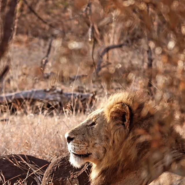 PaulCobbaert's tweet card. Paul Cobbaert (@paulcobbaert) • Instagram photos and videos