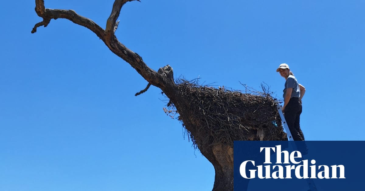MonteroQuercus's tweet card. Researchers in Europe found everyday plastics, especially farmers’ baler twine, being used by the birds as a building material and entangling their young. It is a problem that affects other species...