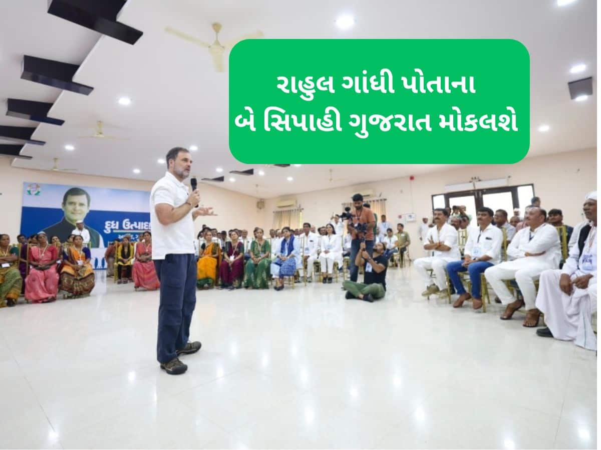 Zee24Kalak's tweet card. Gujarat Politics ; રાહુલ ગાંધીના ગુજરાત પ્રવાસ દરમિયાન એક મહત્વનો નિર્ણય લેવાયો છે. રાહુલ ગાંધી પોતાના બે સેનાપતિઓને ગુજરાતની જવાબદારી સોંપવાના છે. આ બંને નેતાઓ ગુજરાતની રણનીતિ ઘડશે, જેઓ ગુજરાત માટે...