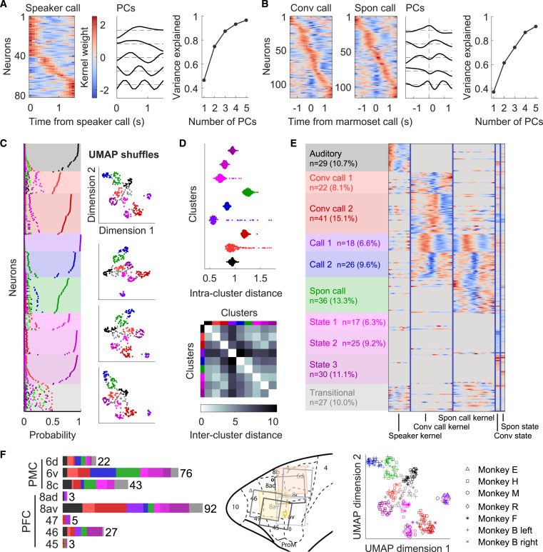 CoryMillerMarmo's tweet card. Li and colleagues applied model-based and traditional analyses to characterize single-neuron responses in the frontal cortex while marmosets engaged in their natural conversational exchanges. Results...