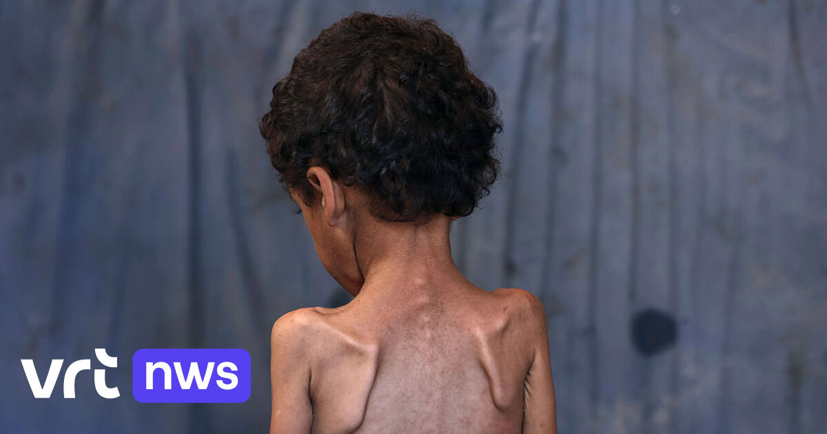 HambachEva's tweet card. "De Gazanen hebben meer nodig dan meel en conservenblikken." Dat is de nuchtere conclusie van Juliette Verhoeven, expert humanitaire hulp bij de ngo Save The Children, over de situatie van de...