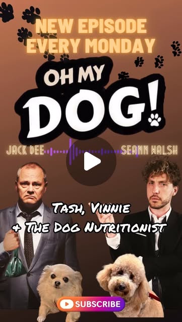 TheRealJackDee's tweet card. Oh My Dog! Podcast (@omdpod) • Instagram reel