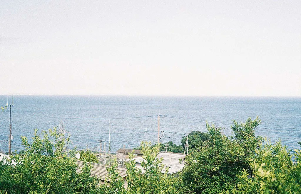 _ichigomelon's tweet card. Rollei35Sを持ち歩いて。