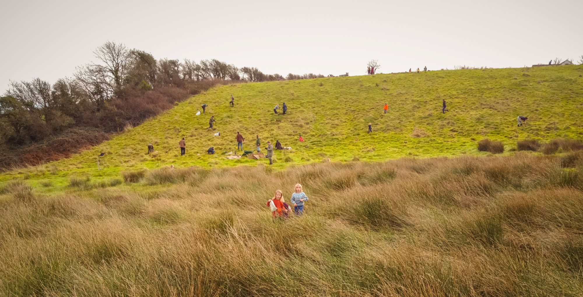 drsharonhall's tweet card. Grant funding to support tree, hedgerow and orchard establishment The Tree Council actively supports community tree, hedgerow, and orchard projects that boost agricultural productivity and create...