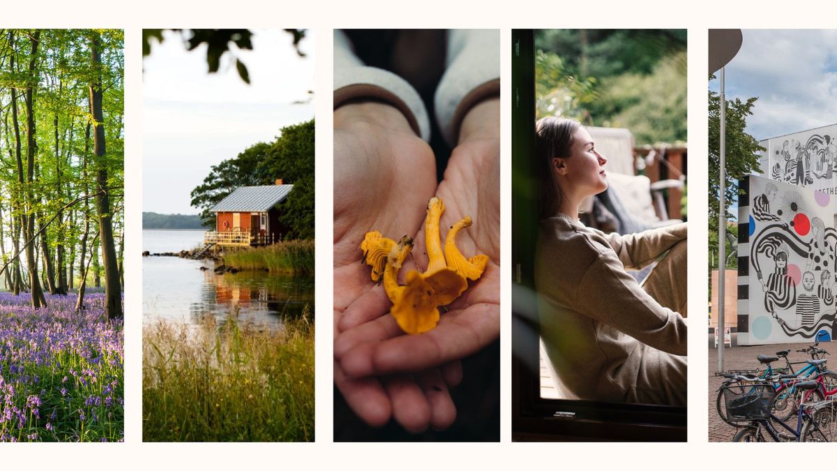 AChVoice's tweet card. From embracing simplicity to honouring the seasons, there's a lot we can learn from Finnish culture