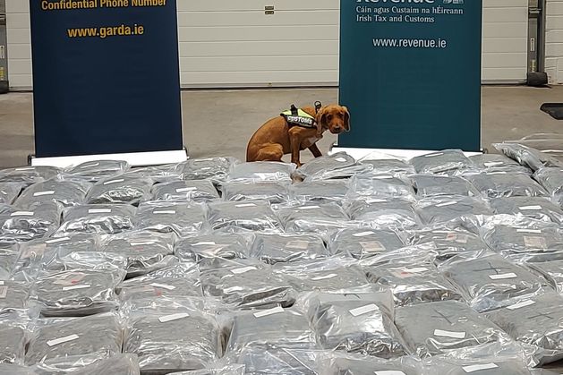 Corkman_ie's tweet card. A man has been arrested after cannabis worth an estimated €2.1m was seized in the port of Cork.