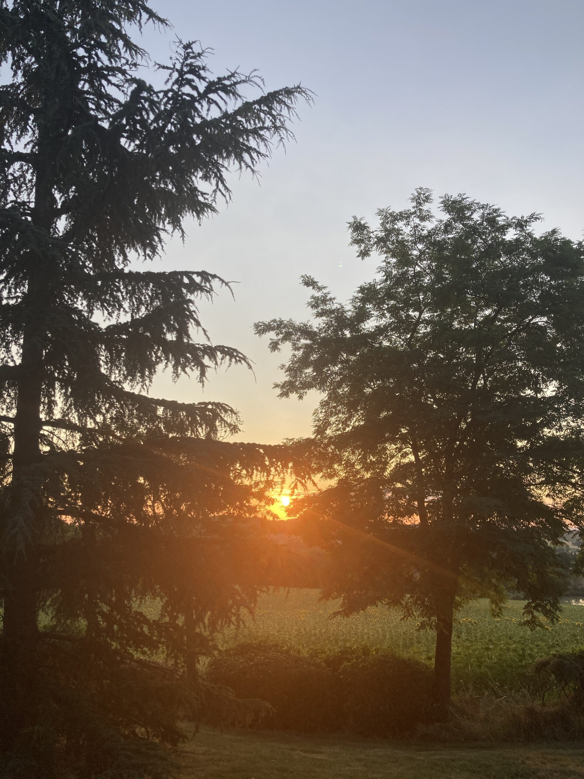 doublezero100's tweet card. Sunshine - friend or foe? The price of integrity. The price of facial fillers. The joys of summer cooking. The perils of anxiety. Blog-time!